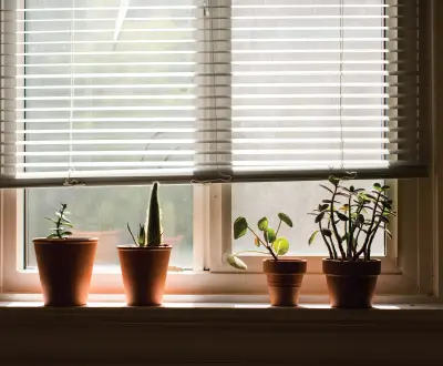 INDOOR BLINDS & SHADES